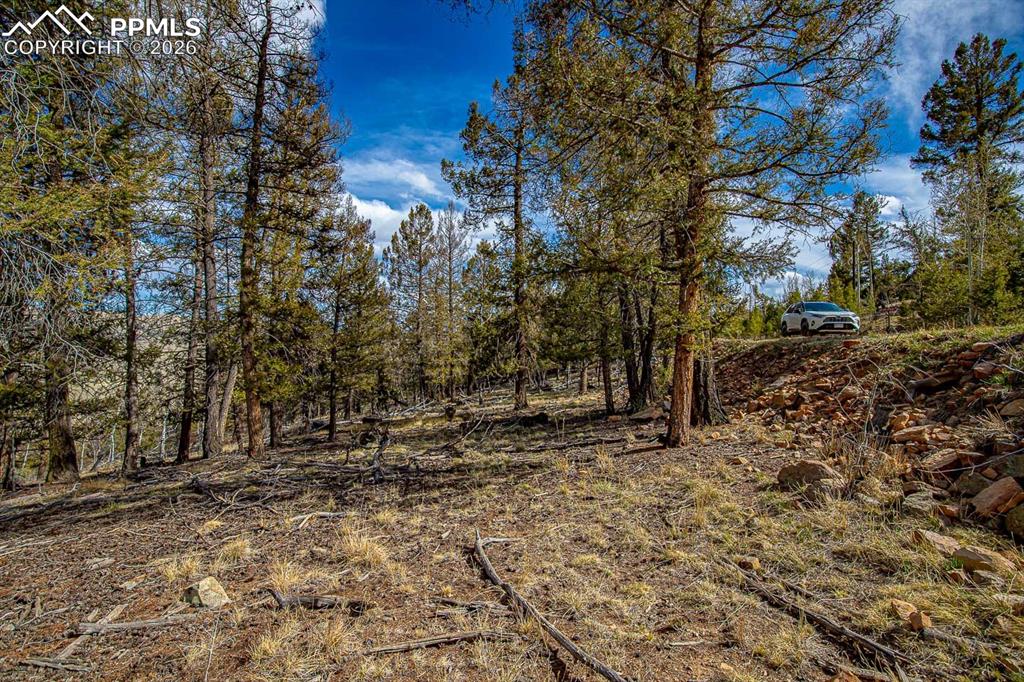 5302 Middle Fork Vista Fairplay CO 80440