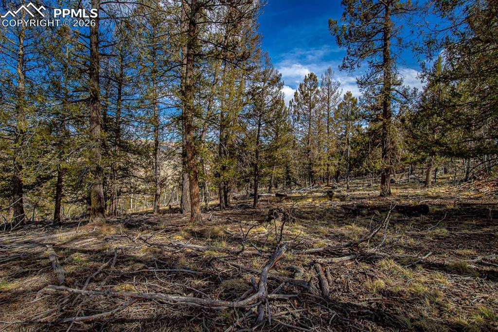 5302 Middle Fork Vista Fairplay CO 80440