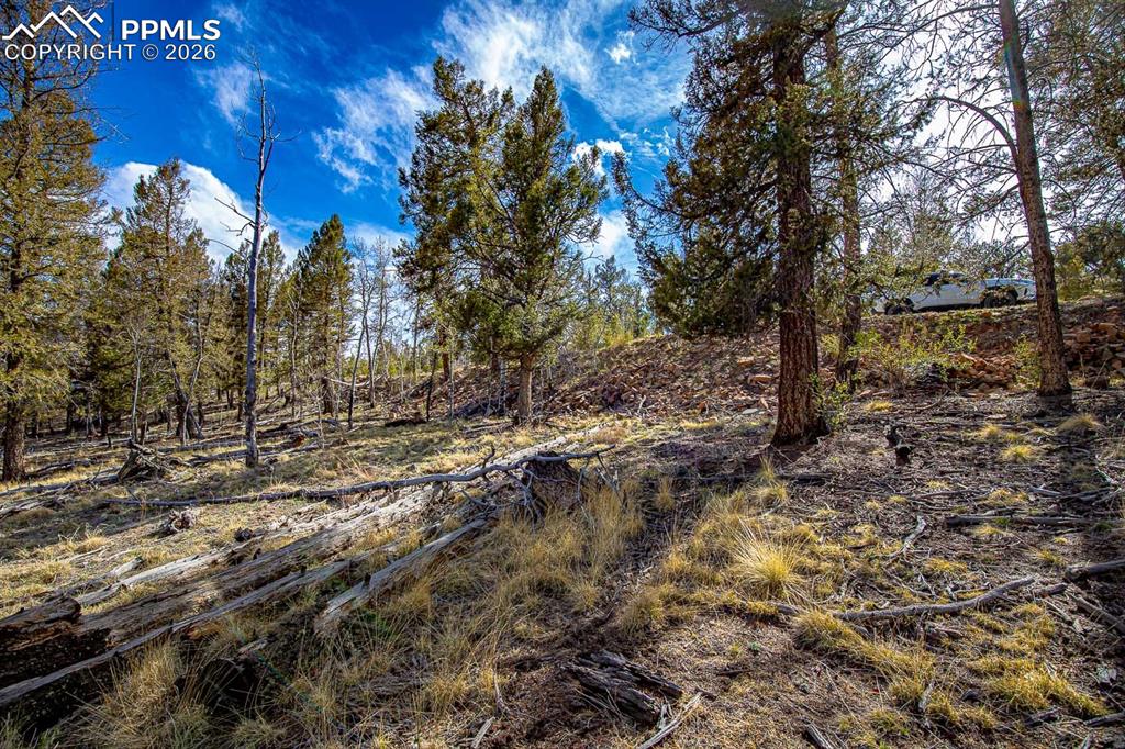 5302 Middle Fork Vista Fairplay CO 80440