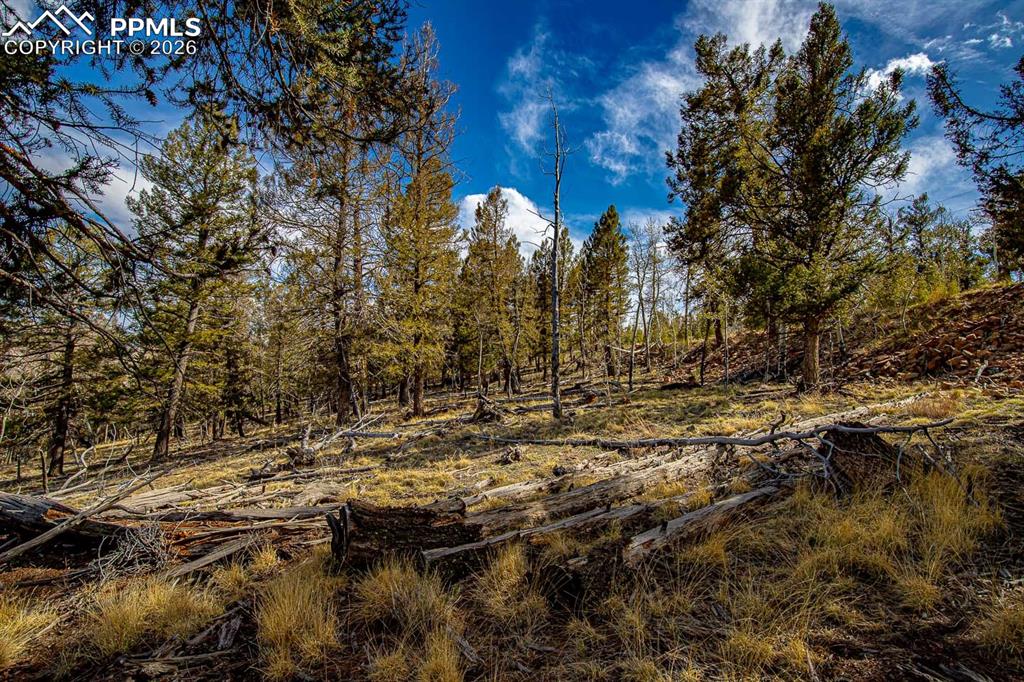 5302 Middle Fork Vista Fairplay CO 80440