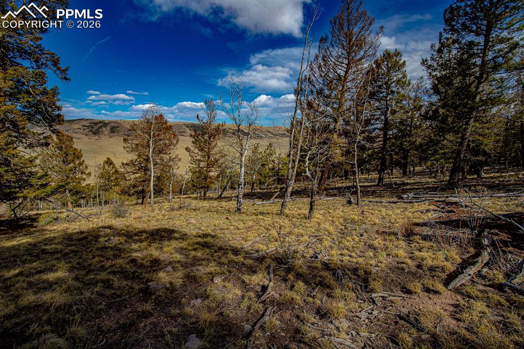 5302 Middle Fork Vista Fairplay CO 80440