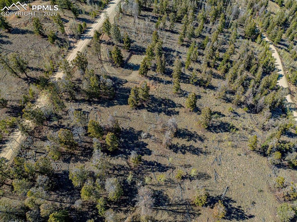5302 Middle Fork Vista Fairplay CO 80440