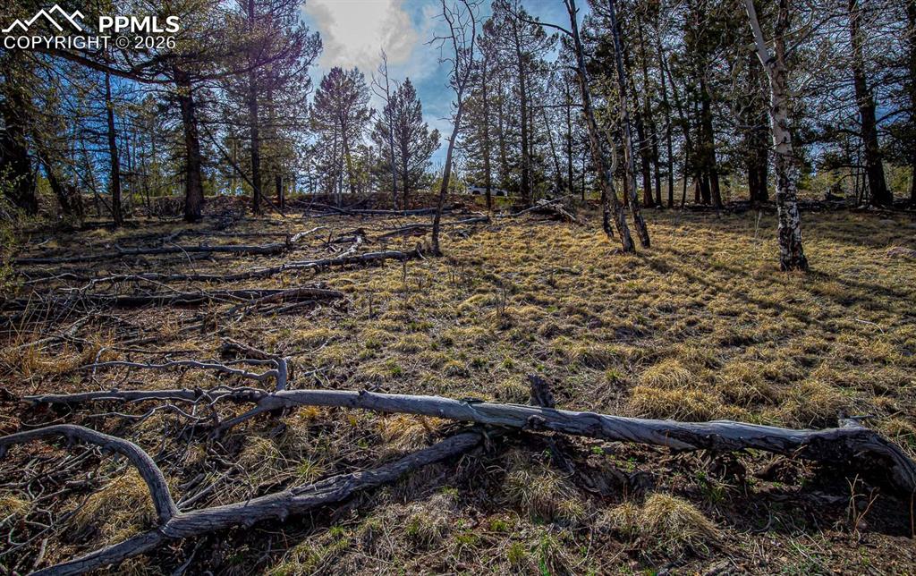 5302 Middle Fork Vista Fairplay CO 80440