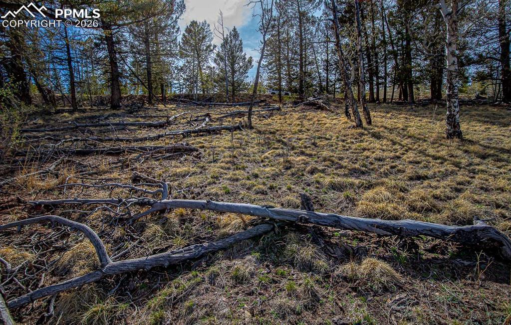 5302 Middle Fork Vista Fairplay CO 80440