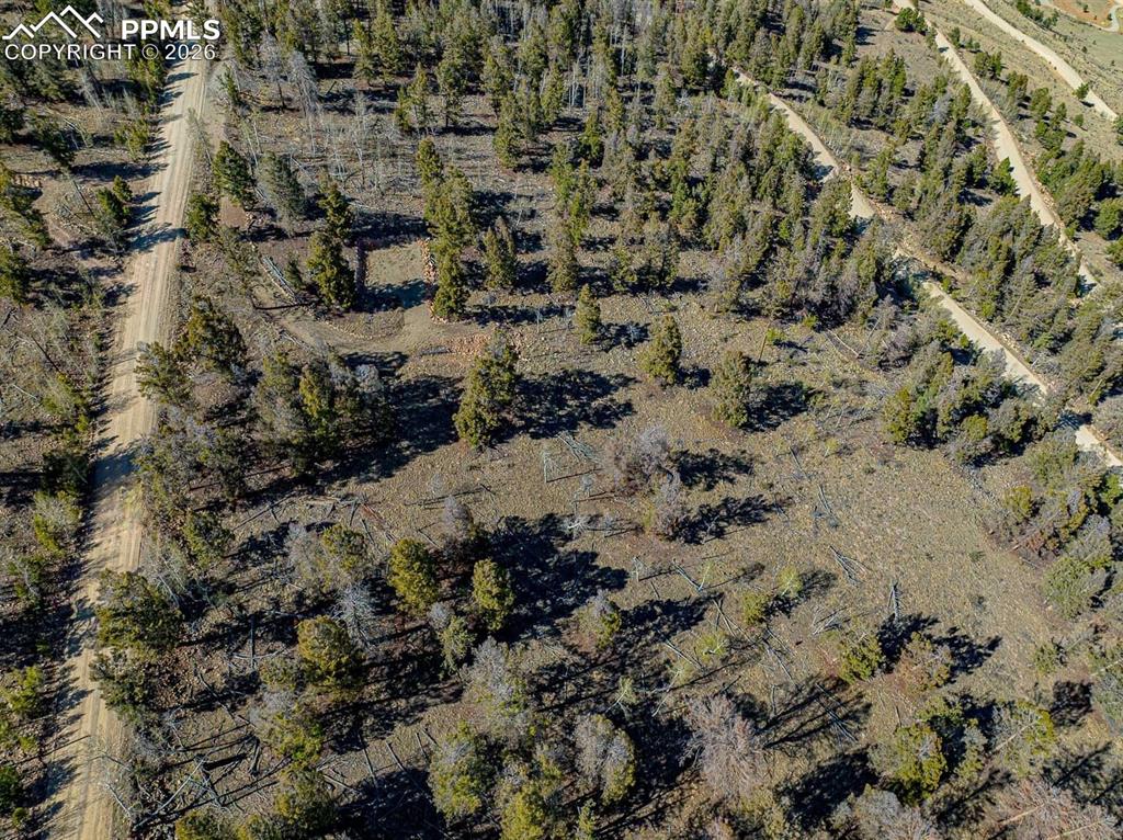 5302 Middle Fork Vista Fairplay CO 80440