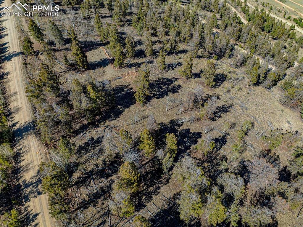 5302 Middle Fork Vista Fairplay CO 80440