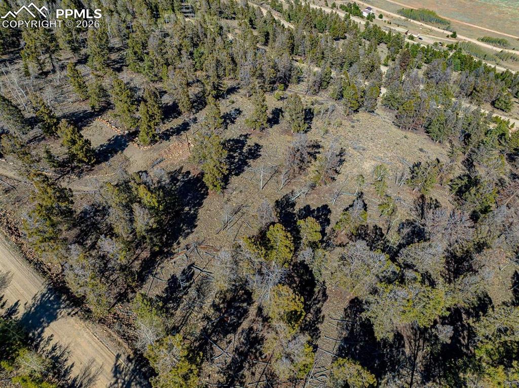 5302 Middle Fork Vista Fairplay CO 80440