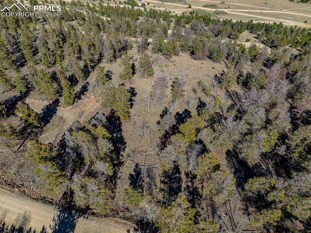 5302 Middle Fork Vista Fairplay CO 80440