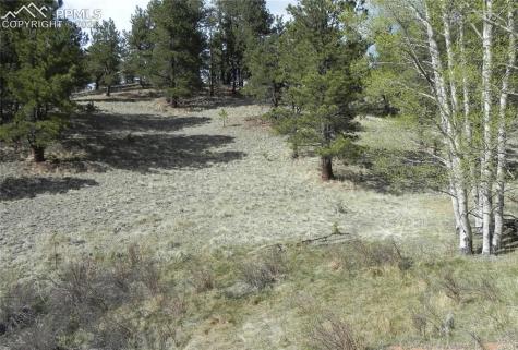 1699 Monarch Drive Cripple Creek CO 80813