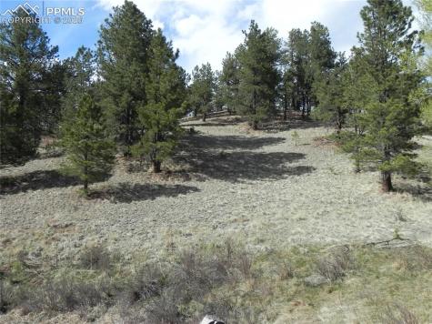 1699 Monarch Drive Cripple Creek CO 80813