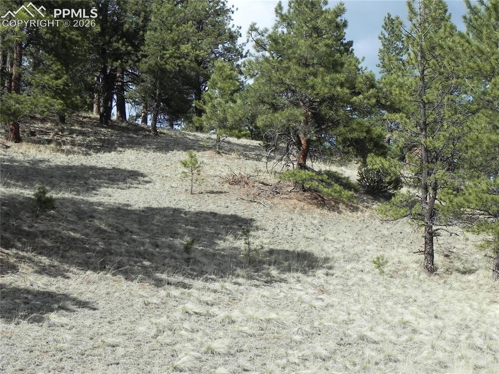 1699 Monarch Drive Cripple Creek CO 80813