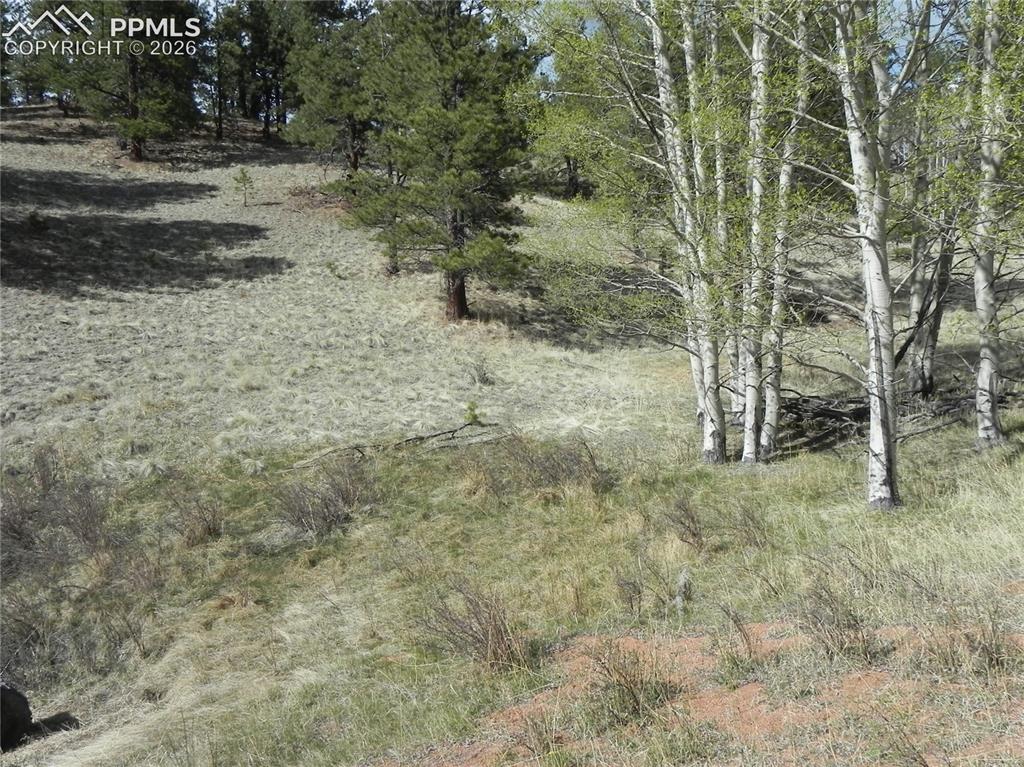 1699 Monarch Drive Cripple Creek CO 80813