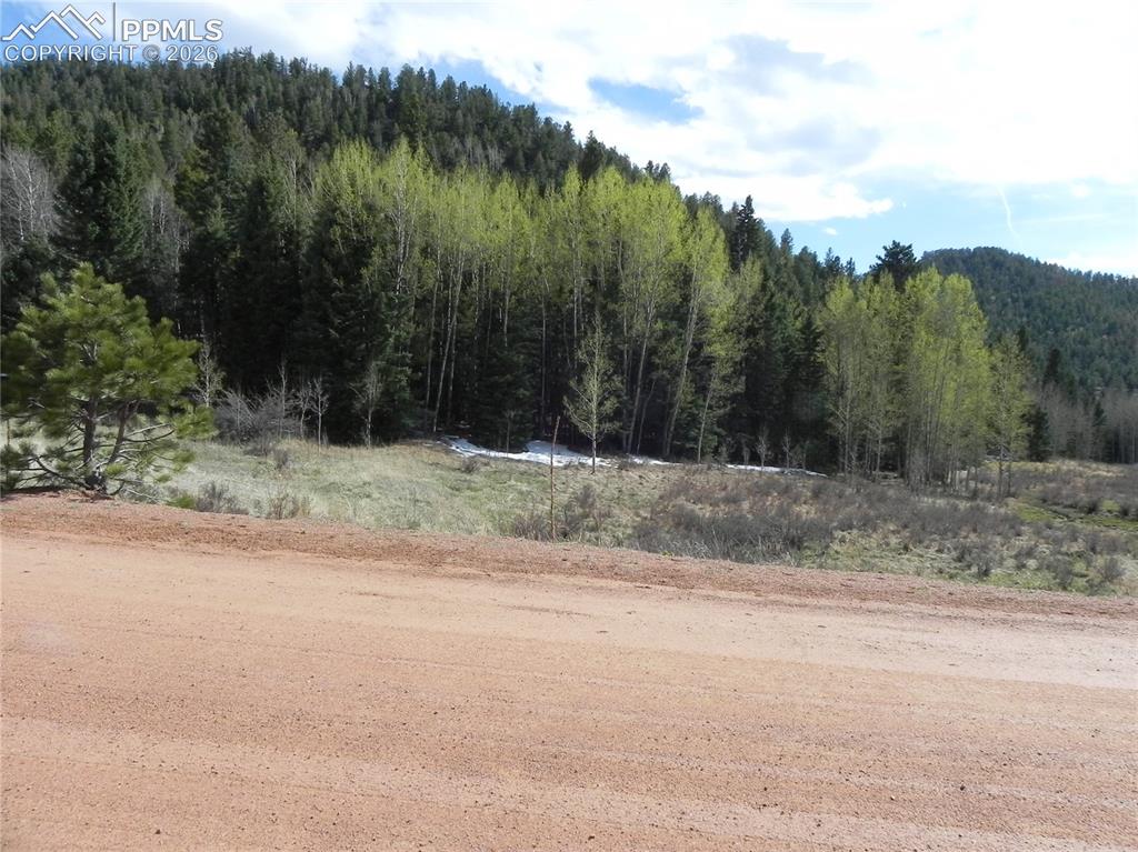 1699 Monarch Drive Cripple Creek CO 80813