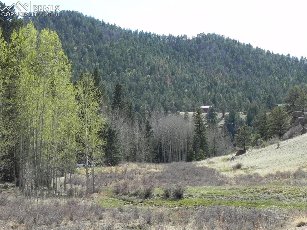 1699 Monarch Drive Cripple Creek CO 80813