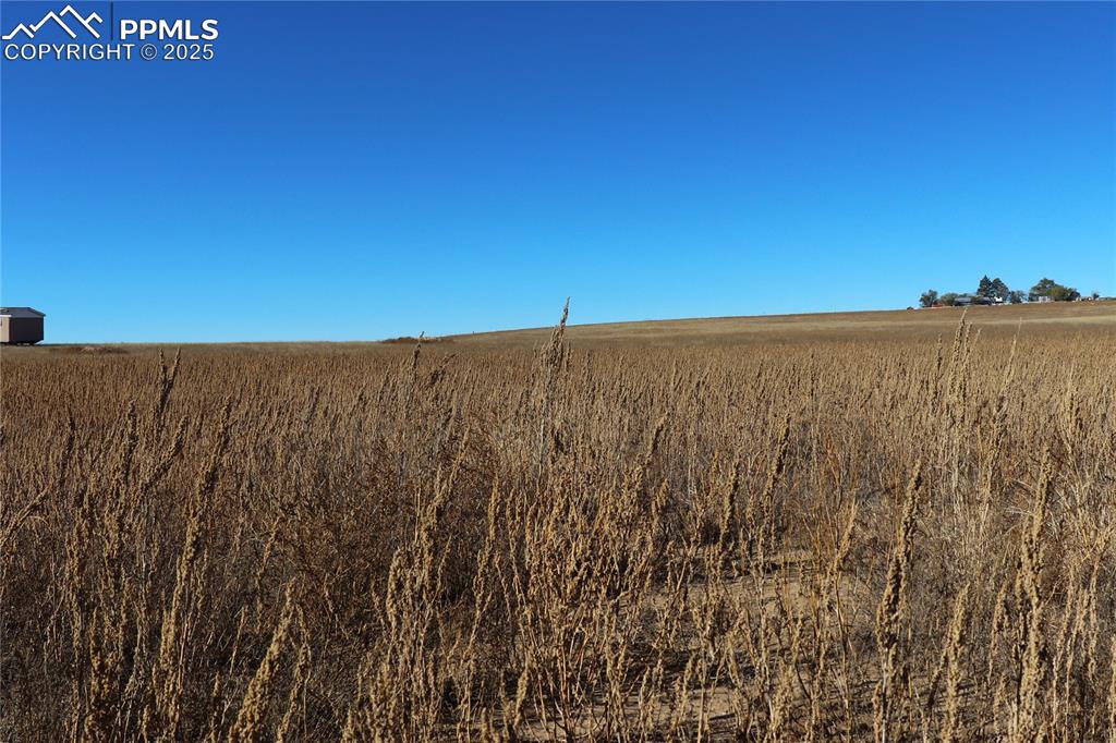 35520 Bowen Road Yoder CO 80864