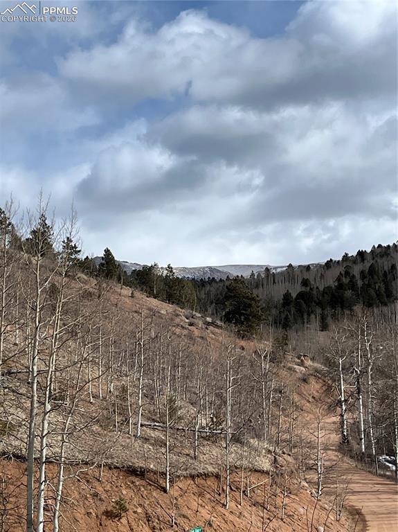 2136 Golden Cycle Circle Cripple Creek CO 80813