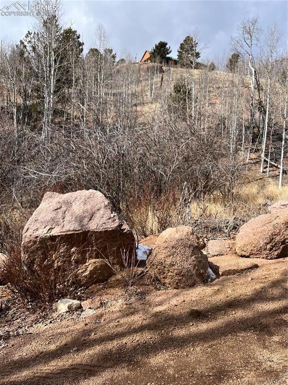 2136 Golden Cycle Circle Cripple Creek CO 80813