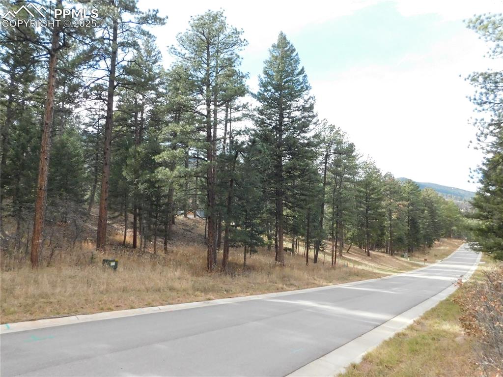 8139 Bannock Drive Larkspur CO 80118