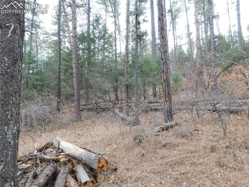 8139 Bannock Drive Larkspur CO 80118