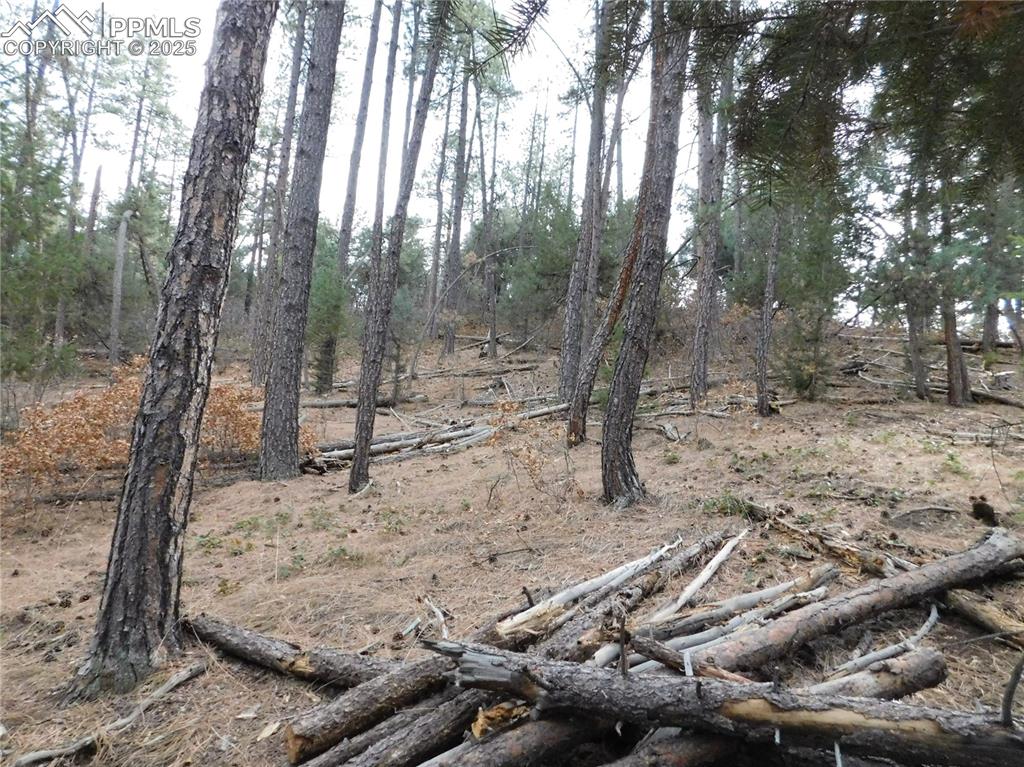 8139 Bannock Drive Larkspur CO 80118