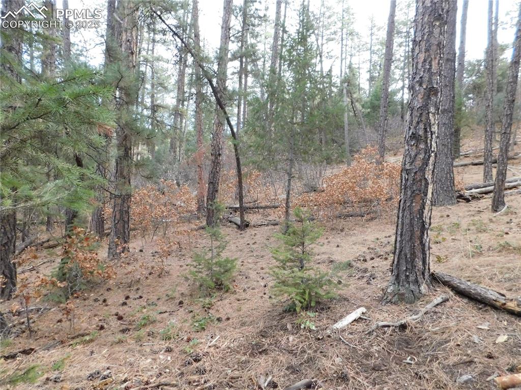 8139 Bannock Drive Larkspur CO 80118