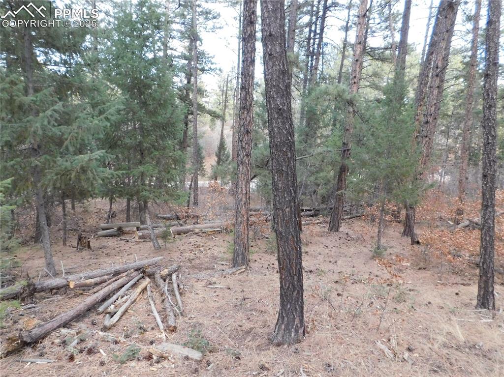 8139 Bannock Drive Larkspur CO 80118