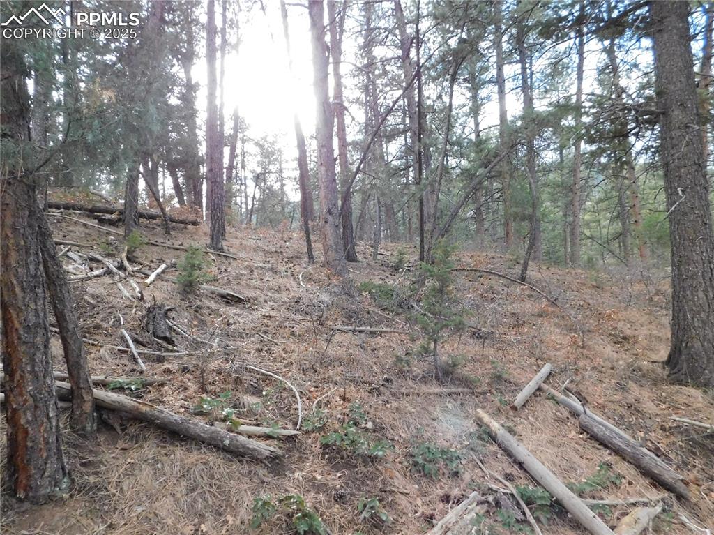 8139 Bannock Drive Larkspur CO 80118
