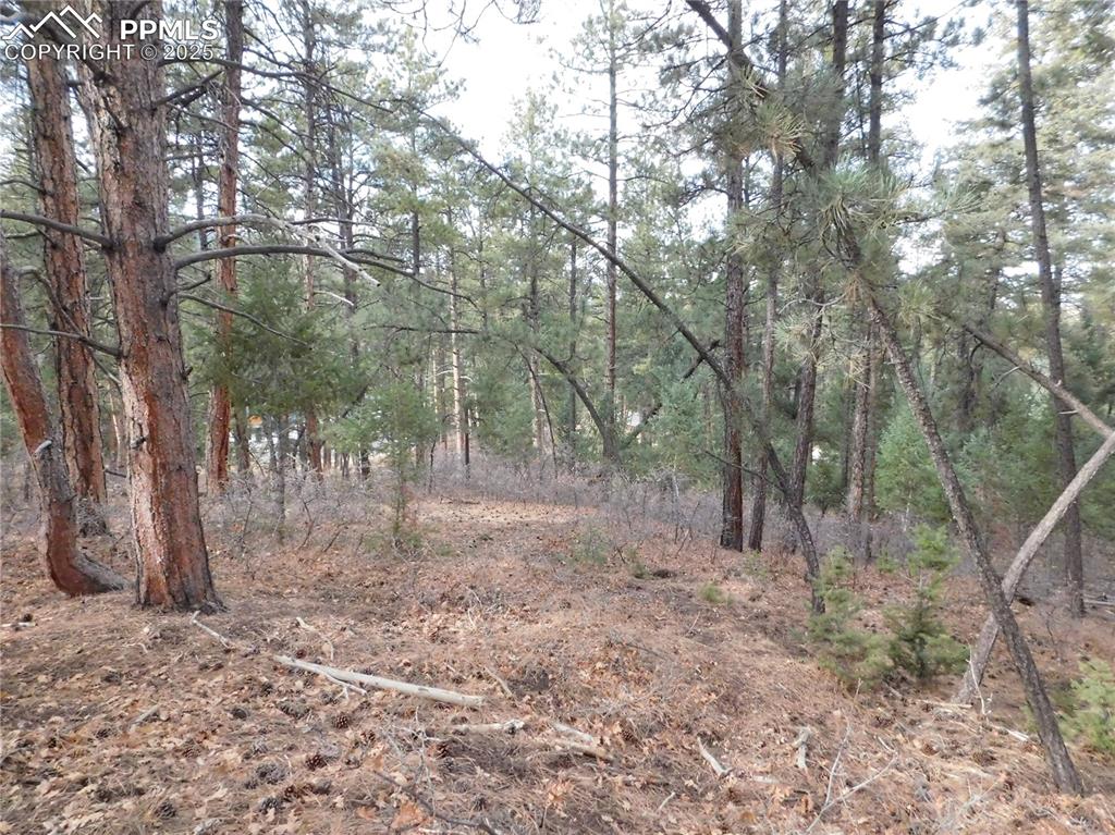 8139 Bannock Drive Larkspur CO 80118