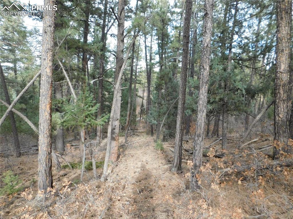 8139 Bannock Drive Larkspur CO 80118