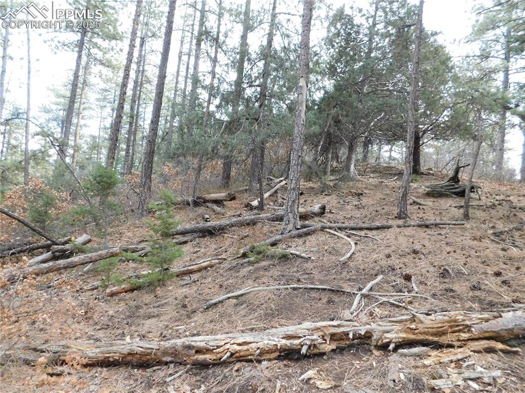 8139 Bannock Drive Larkspur CO 80118