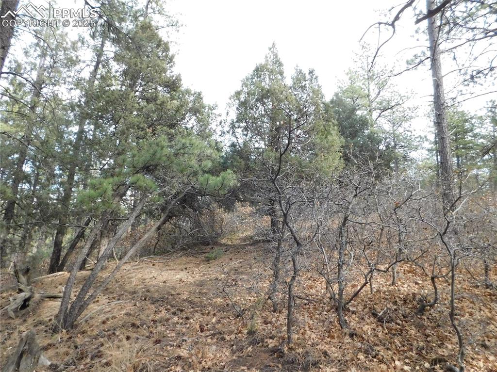 8139 Bannock Drive Larkspur CO 80118