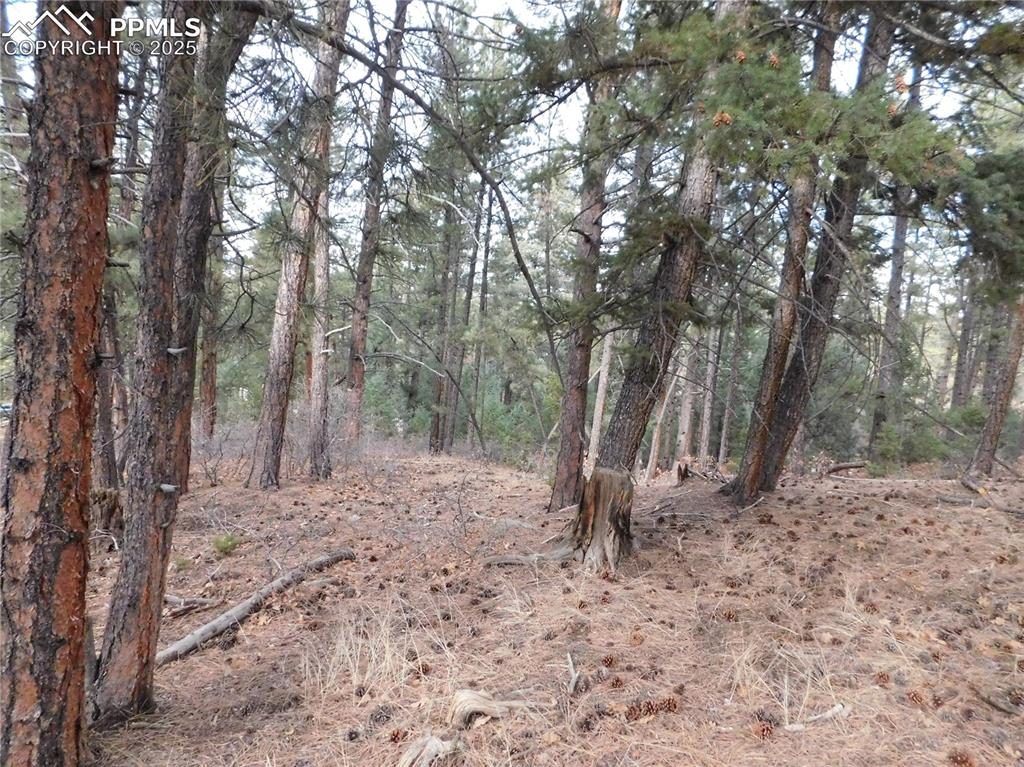 8139 Bannock Drive Larkspur CO 80118