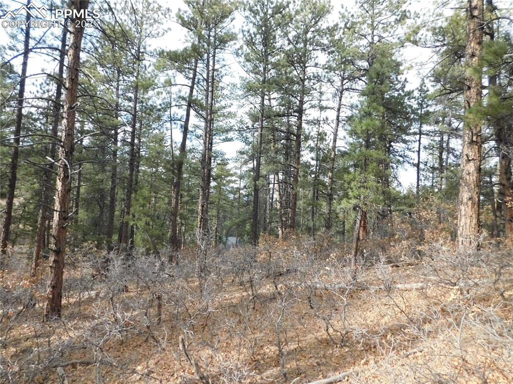 8139 Bannock Drive Larkspur CO 80118