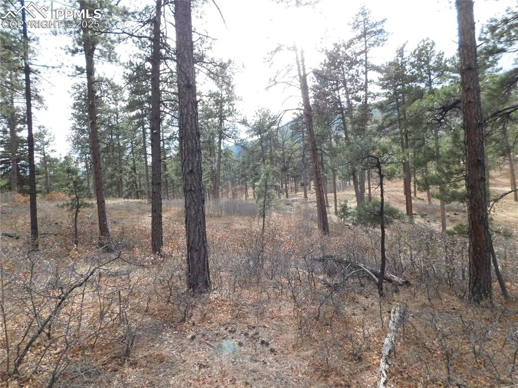 8139 Bannock Drive Larkspur CO 80118