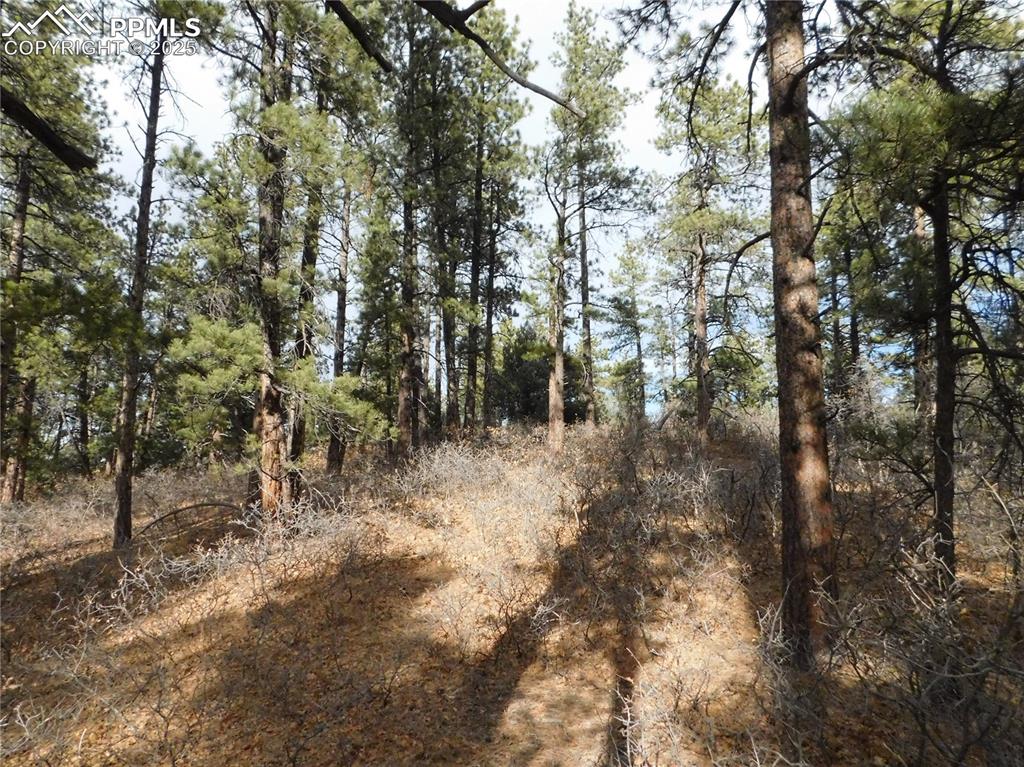 8139 Bannock Drive Larkspur CO 80118