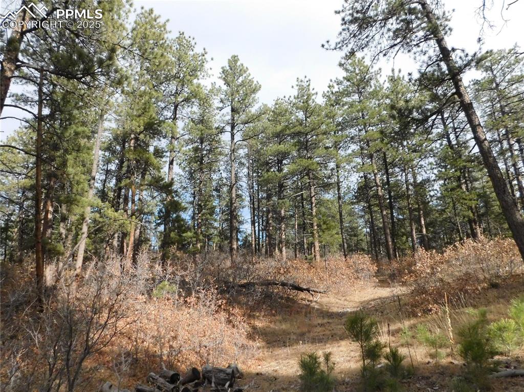 8139 Bannock Drive Larkspur CO 80118