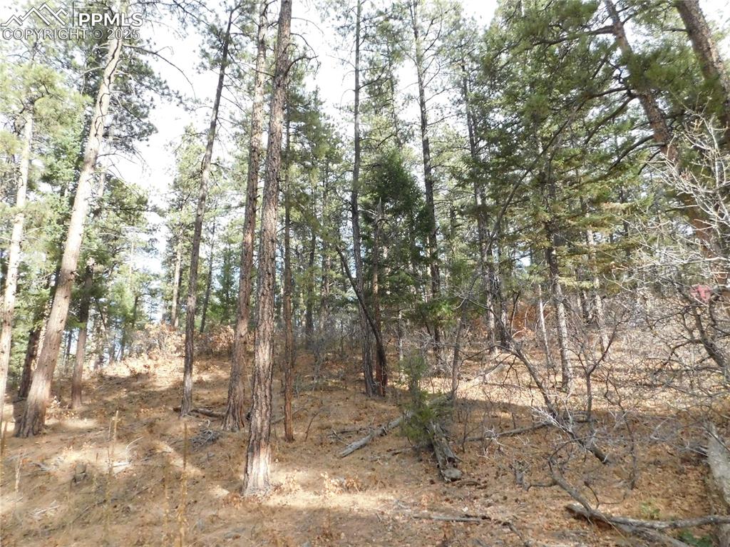 8139 Bannock Drive Larkspur CO 80118