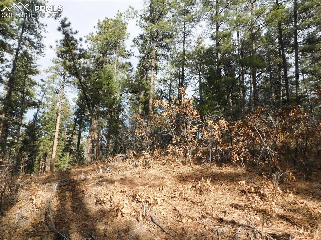 8139 Bannock Drive Larkspur CO 80118