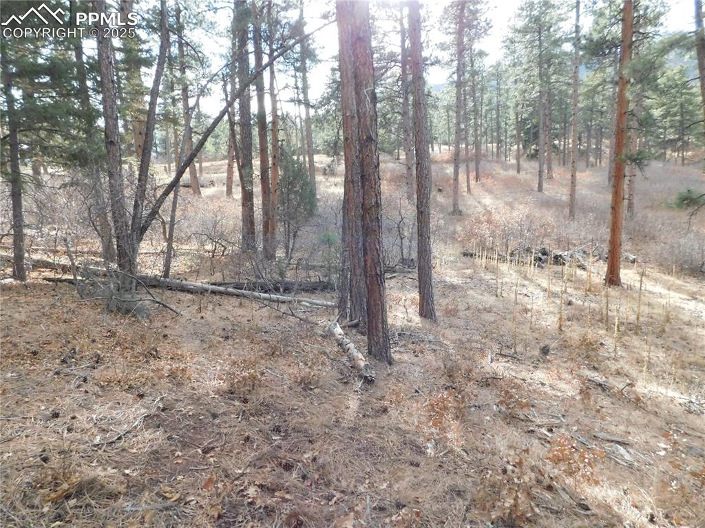 8139 Bannock Drive Larkspur CO 80118