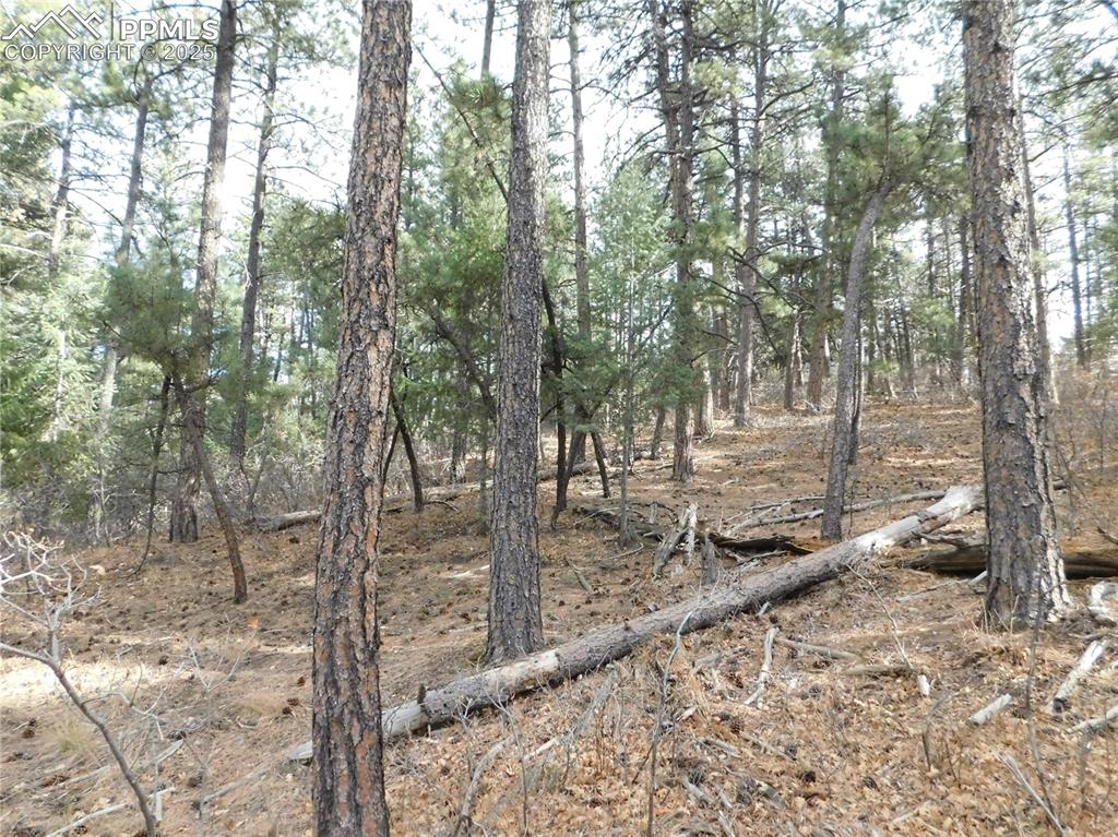 8139 Bannock Drive Larkspur CO 80118