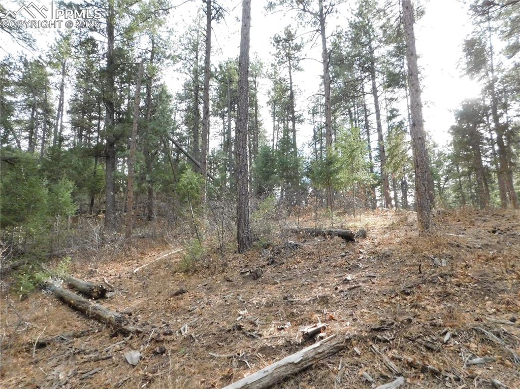 8139 Bannock Drive Larkspur CO 80118