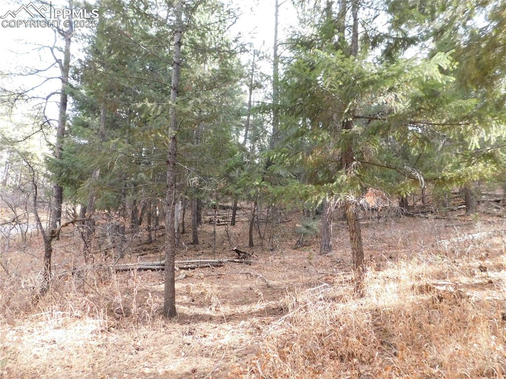 8139 Bannock Drive Larkspur CO 80118