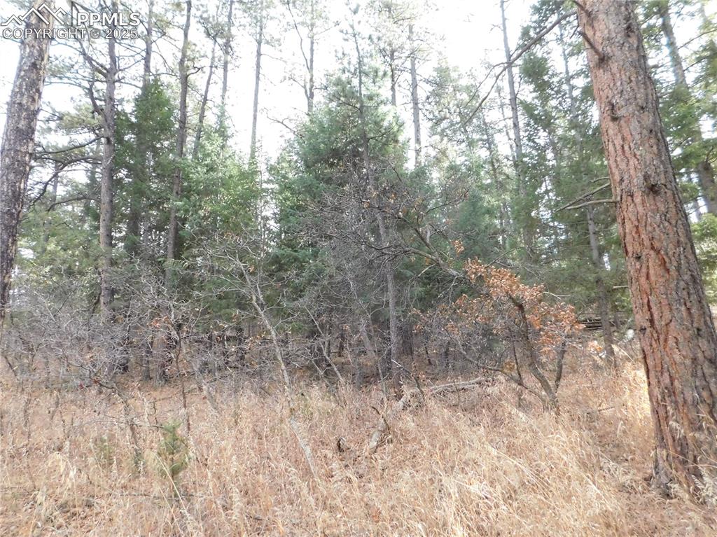 8139 Bannock Drive Larkspur CO 80118