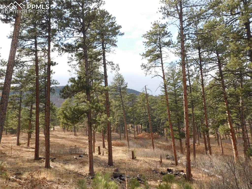 8139 Bannock Drive Larkspur CO 80118