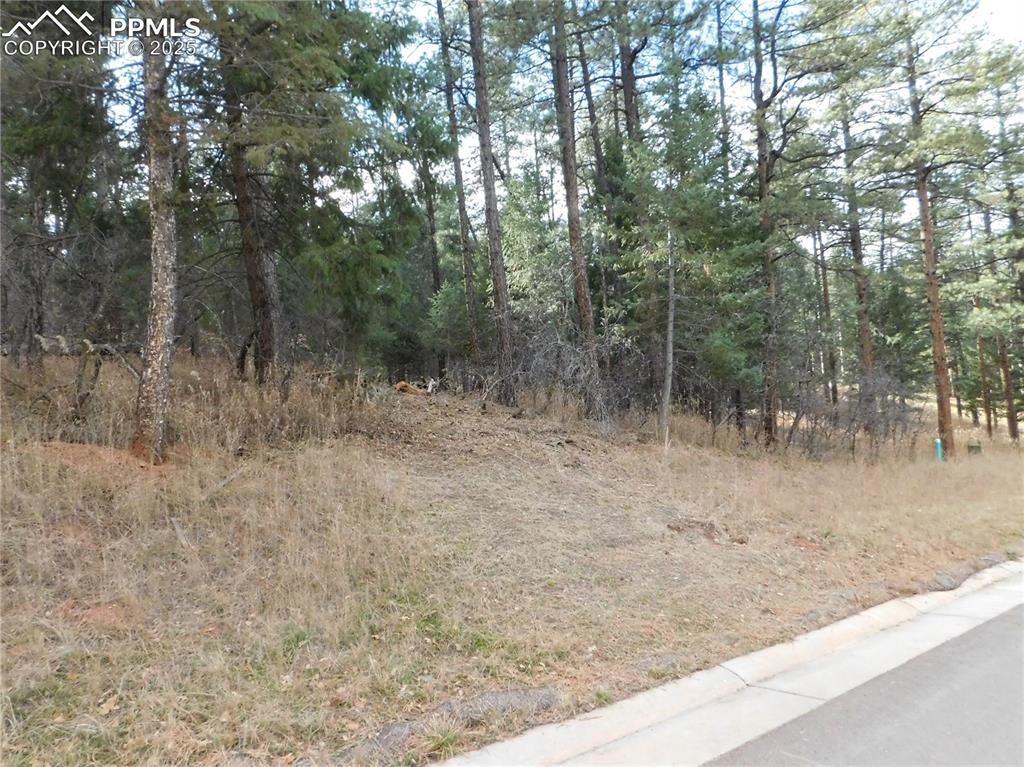8139 Bannock Drive Larkspur CO 80118