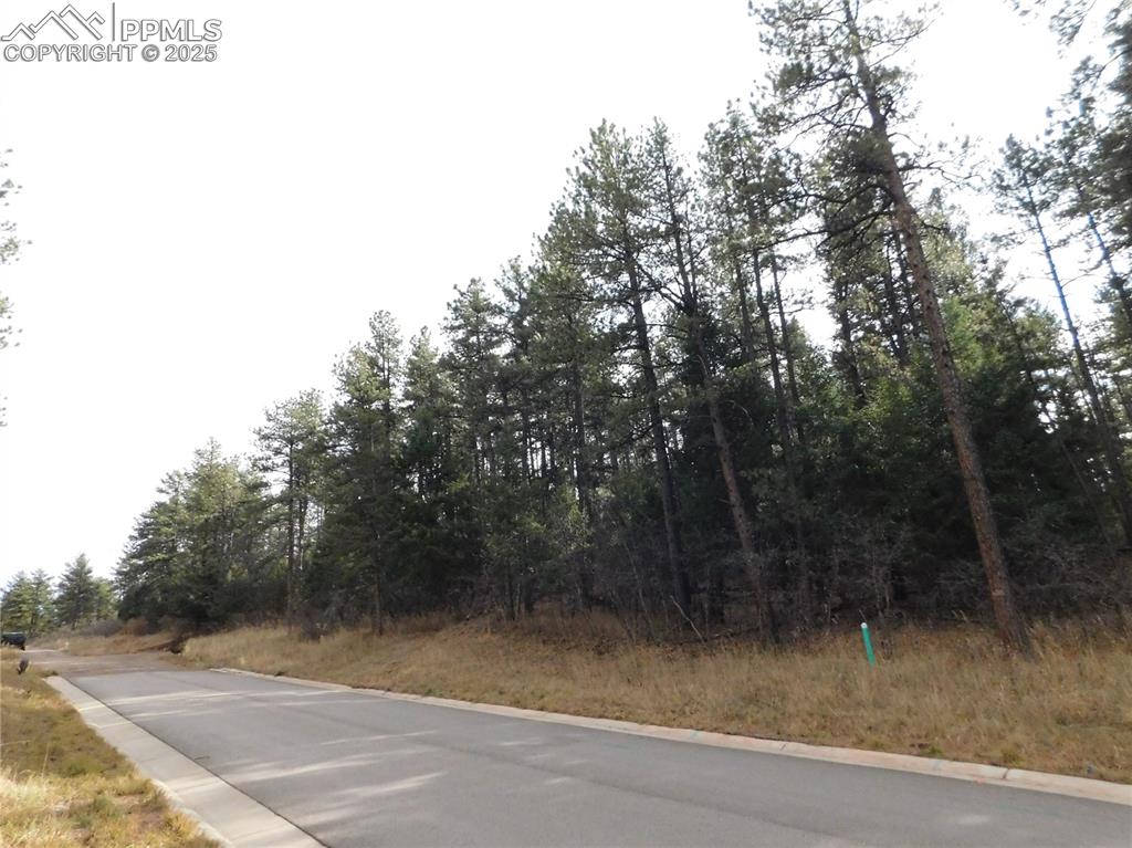 8139 Bannock Drive Larkspur CO 80118