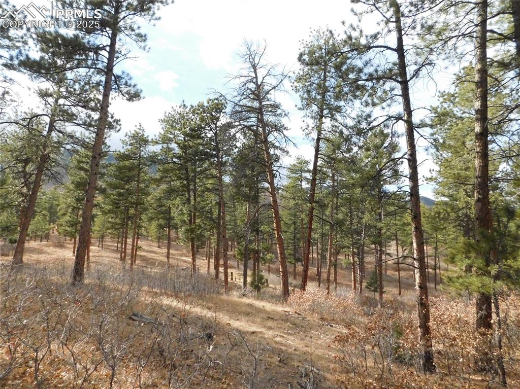 8139 Bannock Drive Larkspur CO 80118