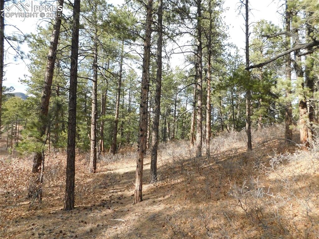 8139 Bannock Drive Larkspur CO 80118