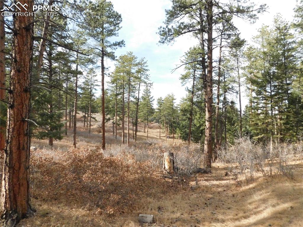 8139 Bannock Drive Larkspur CO 80118