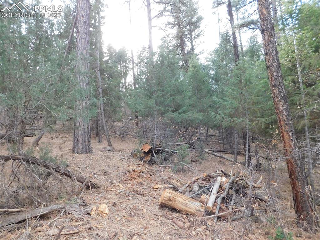 8139 Bannock Drive Larkspur CO 80118